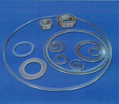 加強(qiáng)環(huán)形金屬纏繞墊片